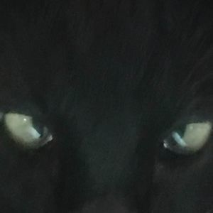 Meet your Posher, Carmen